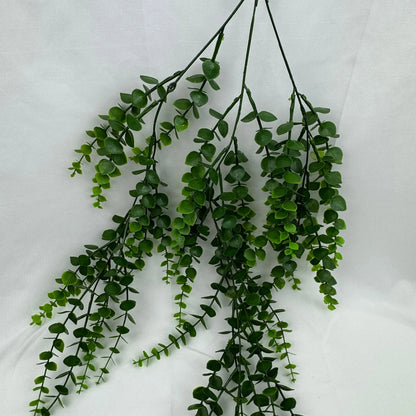 Green Hanging Eucalyptus RosesHQ.com