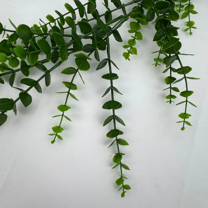 Green Hanging Eucalyptus RosesHQ.com