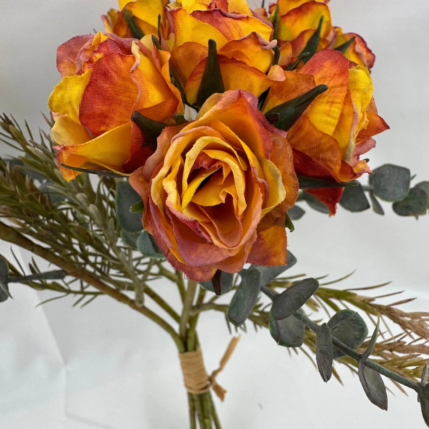 Orange Silk Burnt Edge Rose Bud Bush - 20 Heads RosesHQ.com