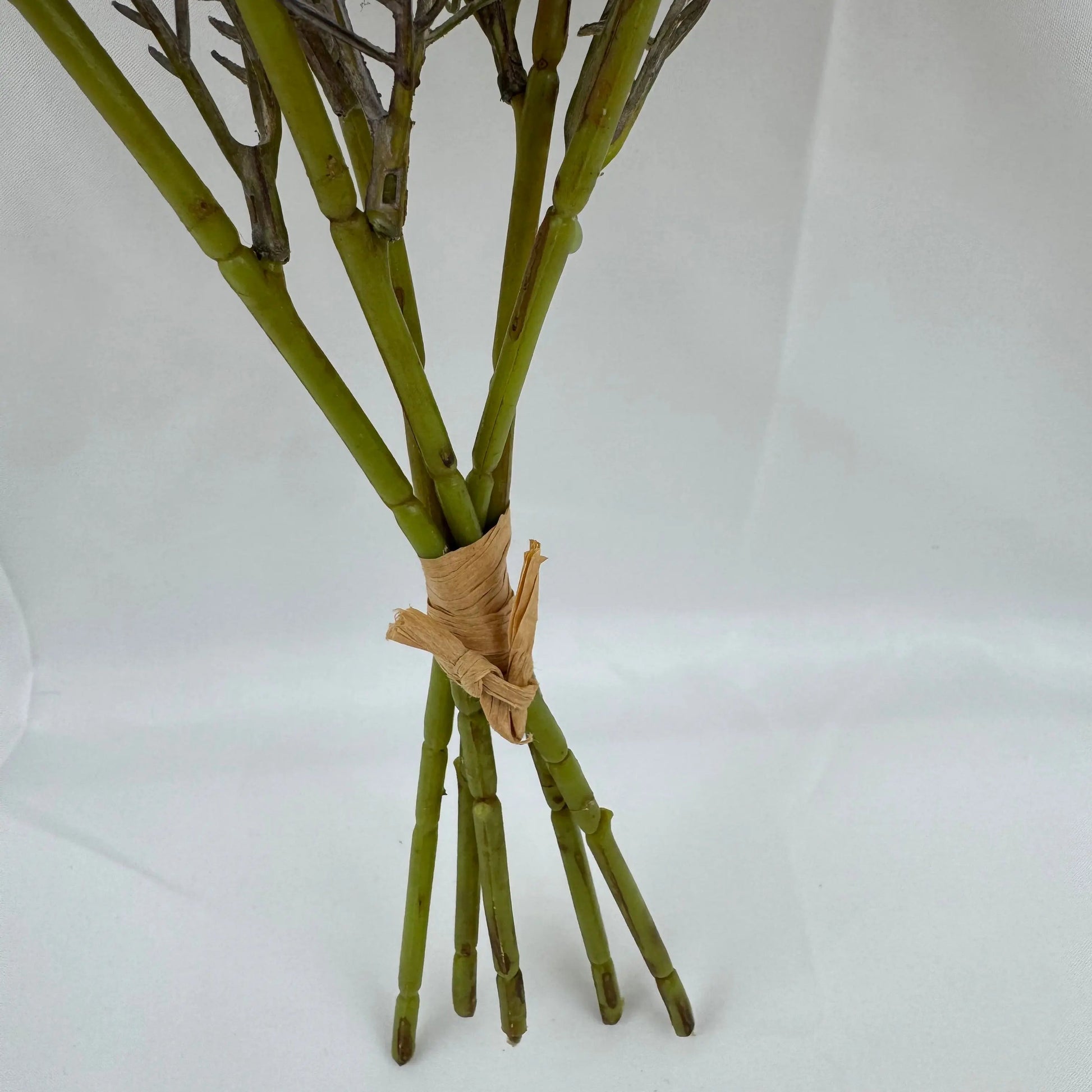 Red Silk Burnt Edge Rose Bud Bush - 20 Heads RosesHQ.com