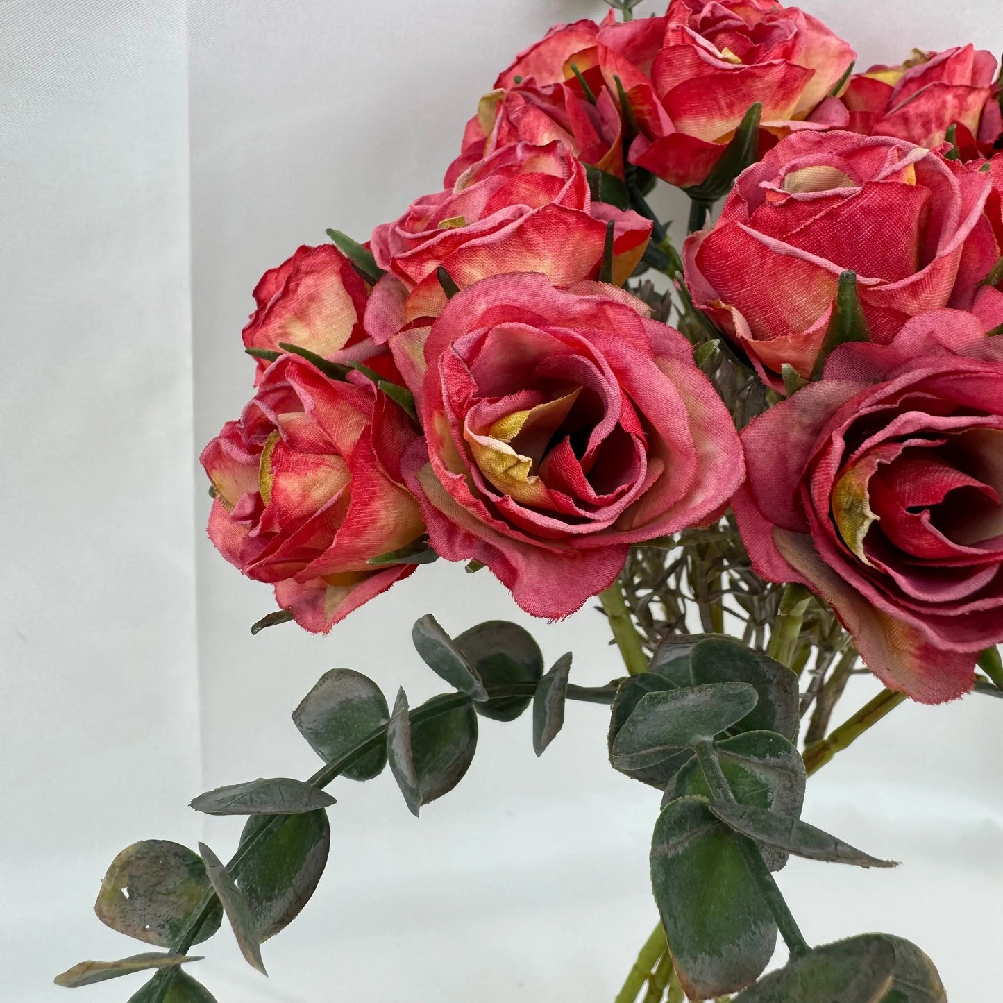 Red Silk Burnt Edge Rose Bud Bush - 20 Heads RosesHQ.com