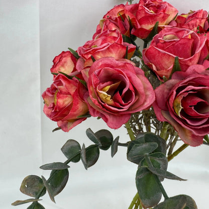 Red Silk Burnt Edge Rose Bud Bush - 20 Heads RosesHQ.com
