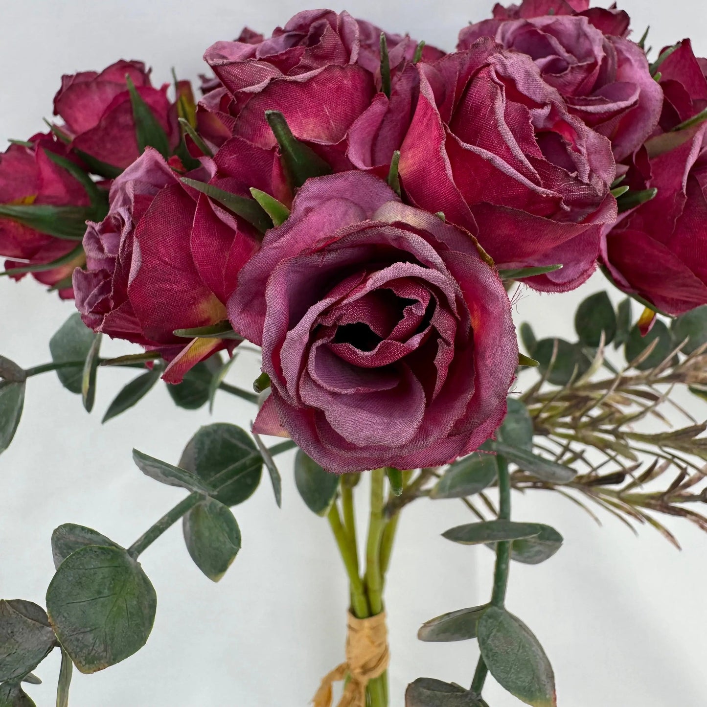 Purple Silk Burnt Edge Rose Bud Bush - 20 Heads RosesHQ.com