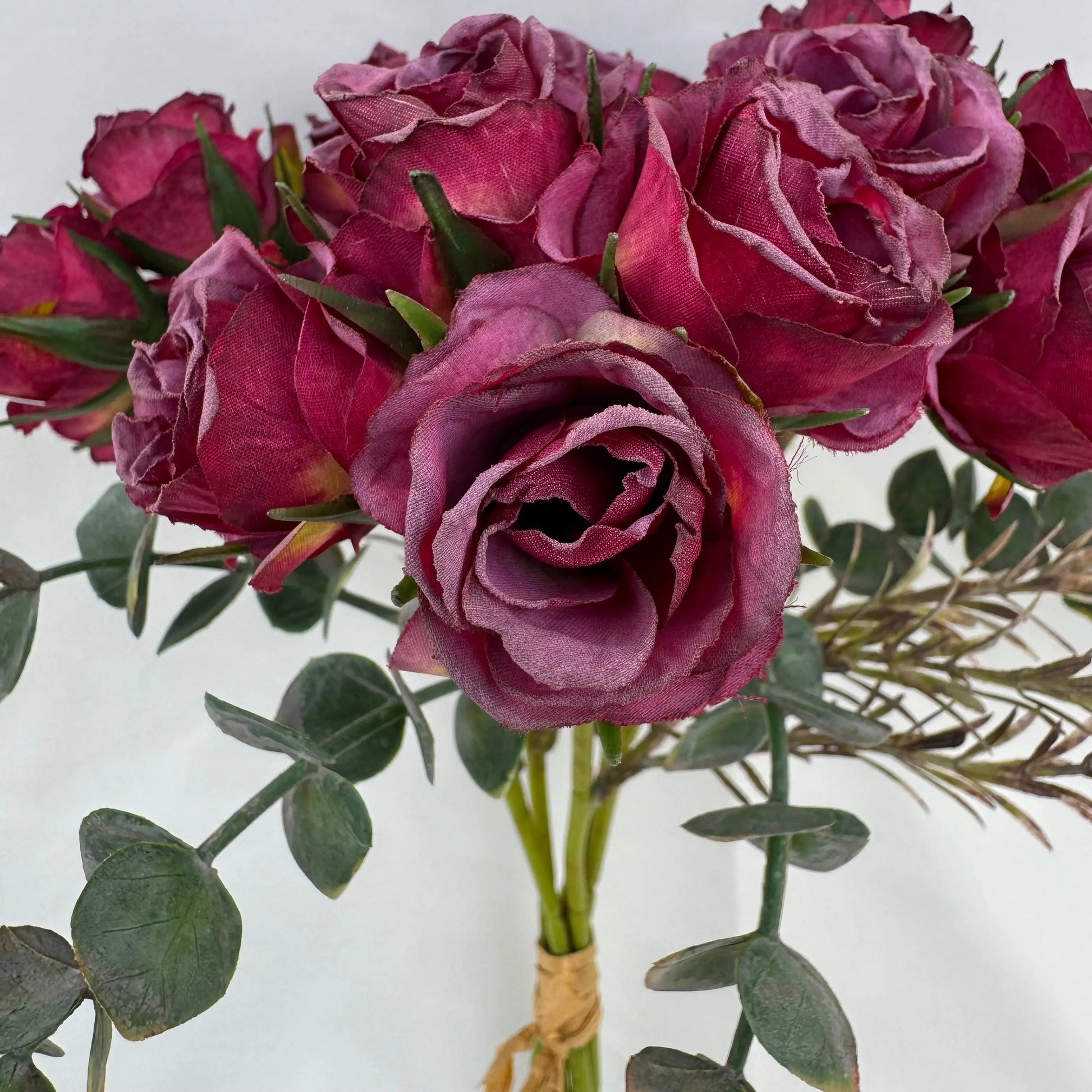 Purple Silk Burnt Edge Rose Bud Bush - 20 Heads RosesHQ.com