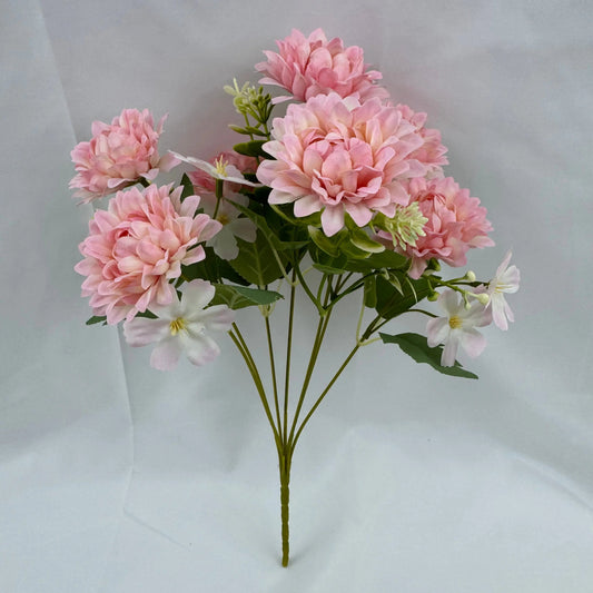 Pink Silk Dahlia Bush - 7 Heads RosesHQ.com