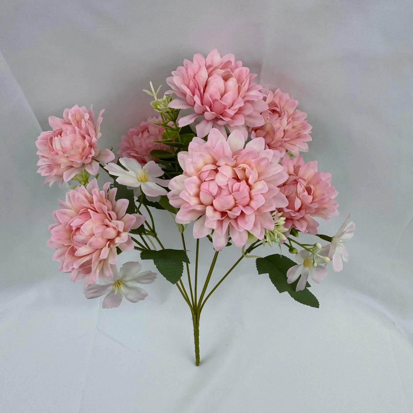 Pink Silk Dahlia Bush - 7 Heads RosesHQ.com