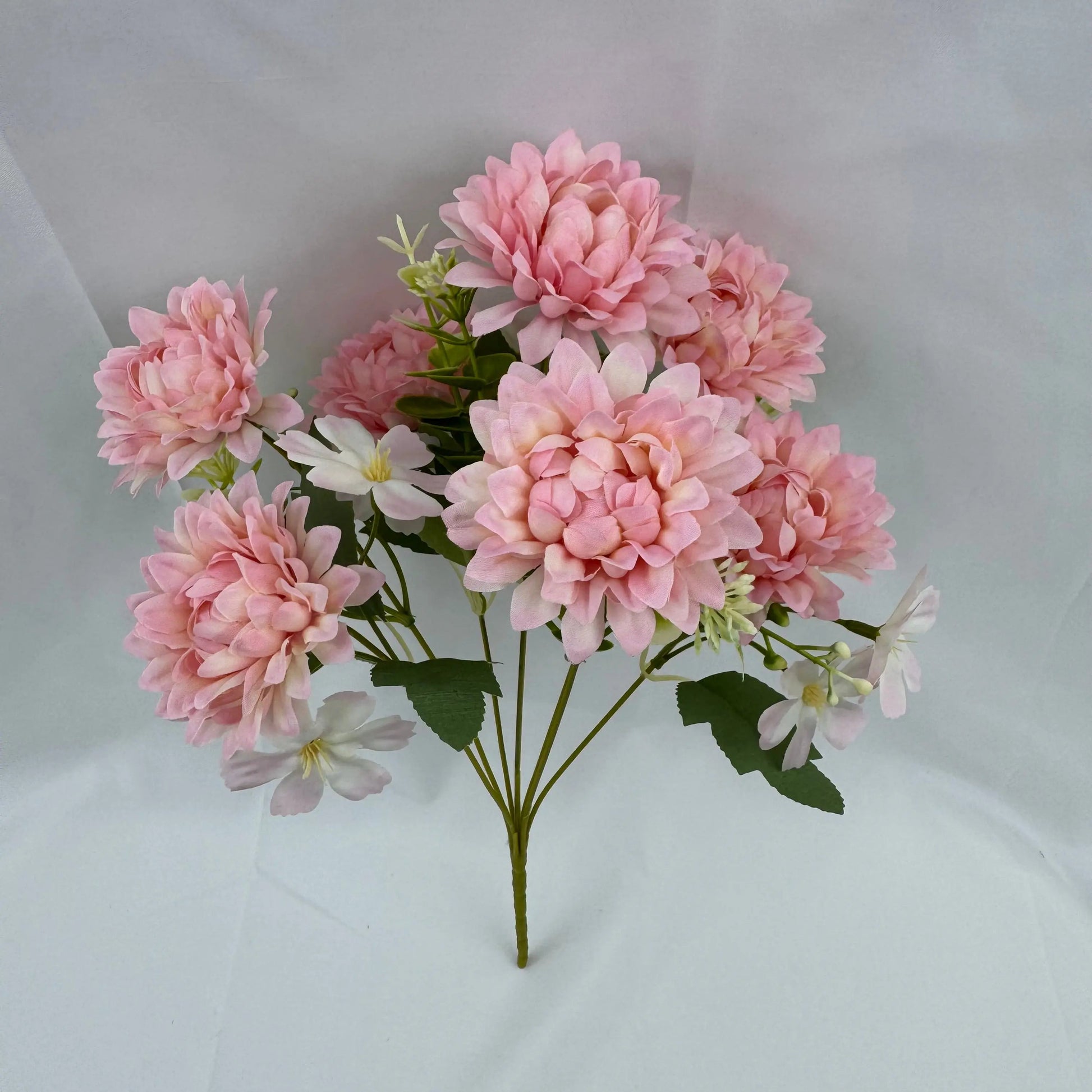 Pink Silk Dahlia Bush - 7 Heads RosesHQ.com