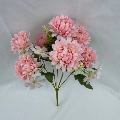 Pink Silk Dahlia Bush - 7 Heads RosesHQ.com