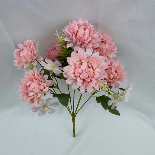 Pink Silk Dahlia Bush - 7 Heads RosesHQ.com