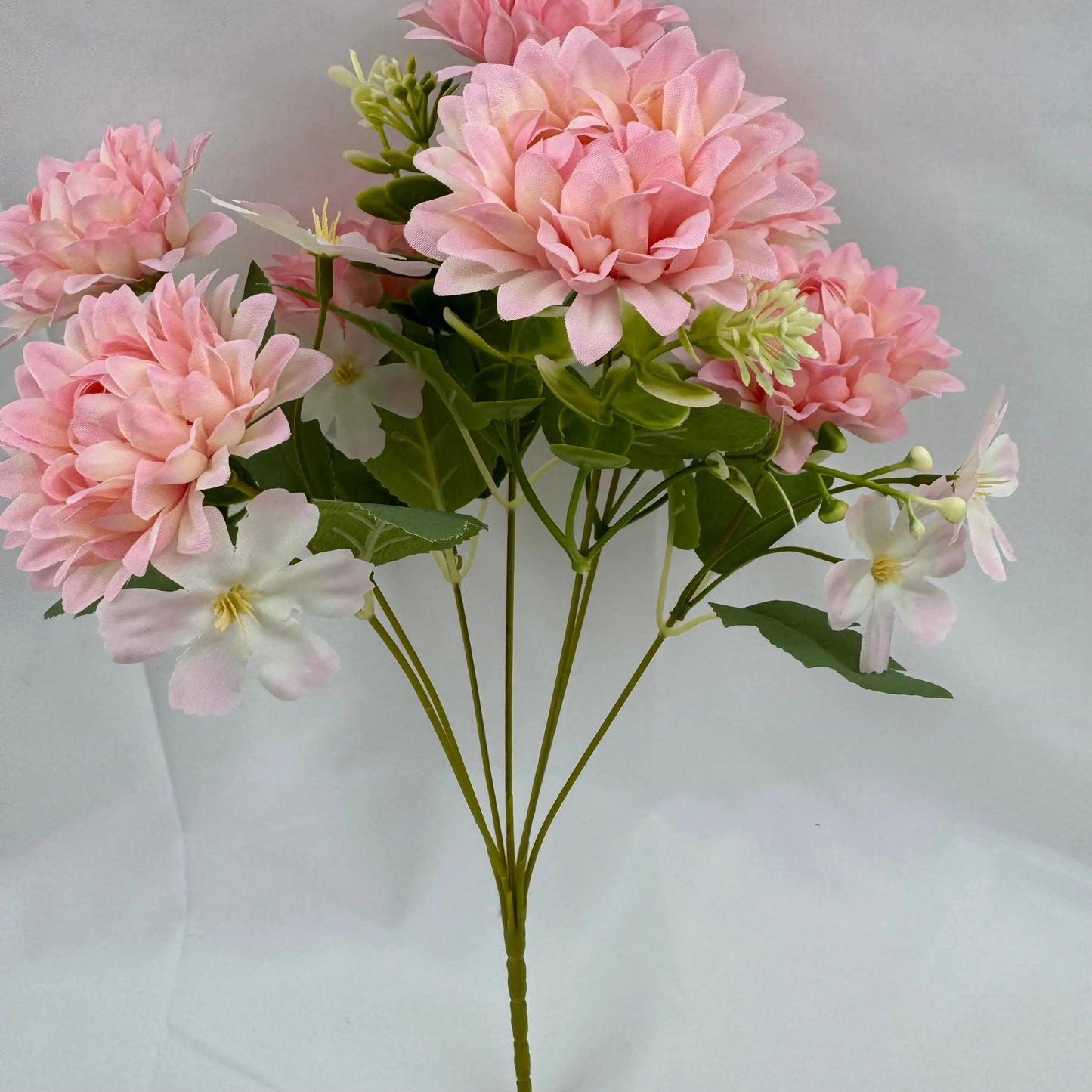 Pink Silk Dahlia Bush - 7 Heads RosesHQ.com
