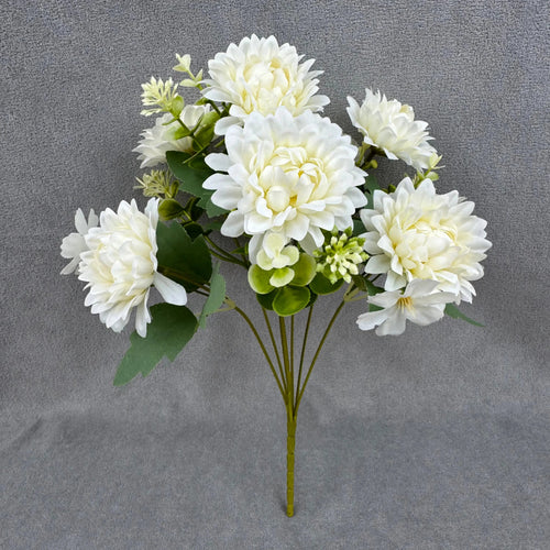 Dahlias