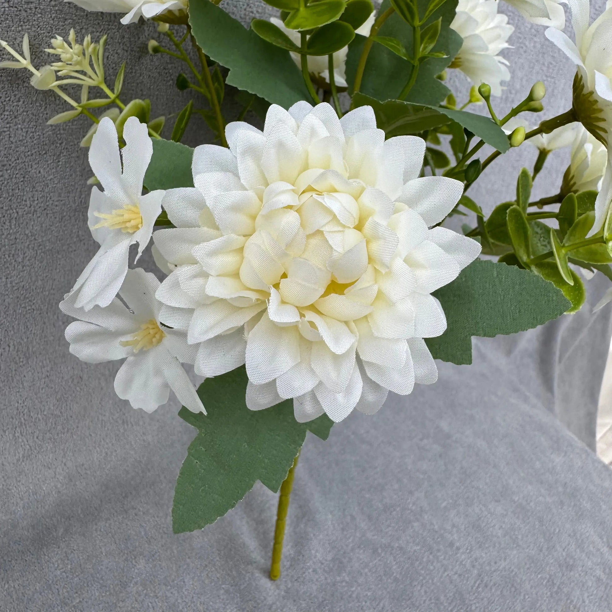 White Silk Dahlia Bush - 7 Heads RosesHQ.com