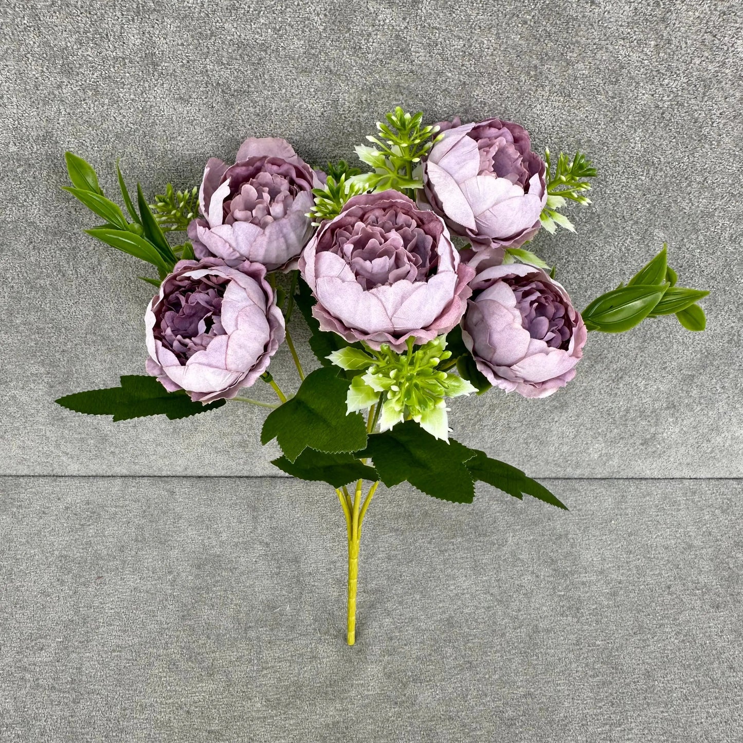 Lavender Silk Round Peony Bush - 5 Heads RosesHQ.com