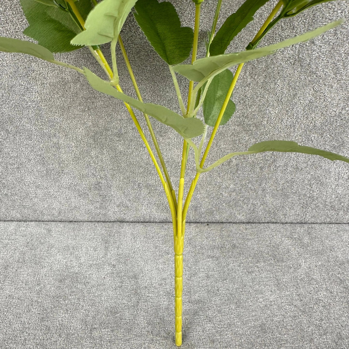 Lavender Silk Round Peony Bush - 5 Heads RosesHQ.com