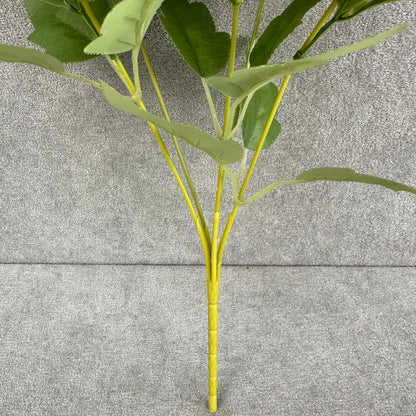 Lavender Silk Round Peony Bush - 5 Heads RosesHQ.com