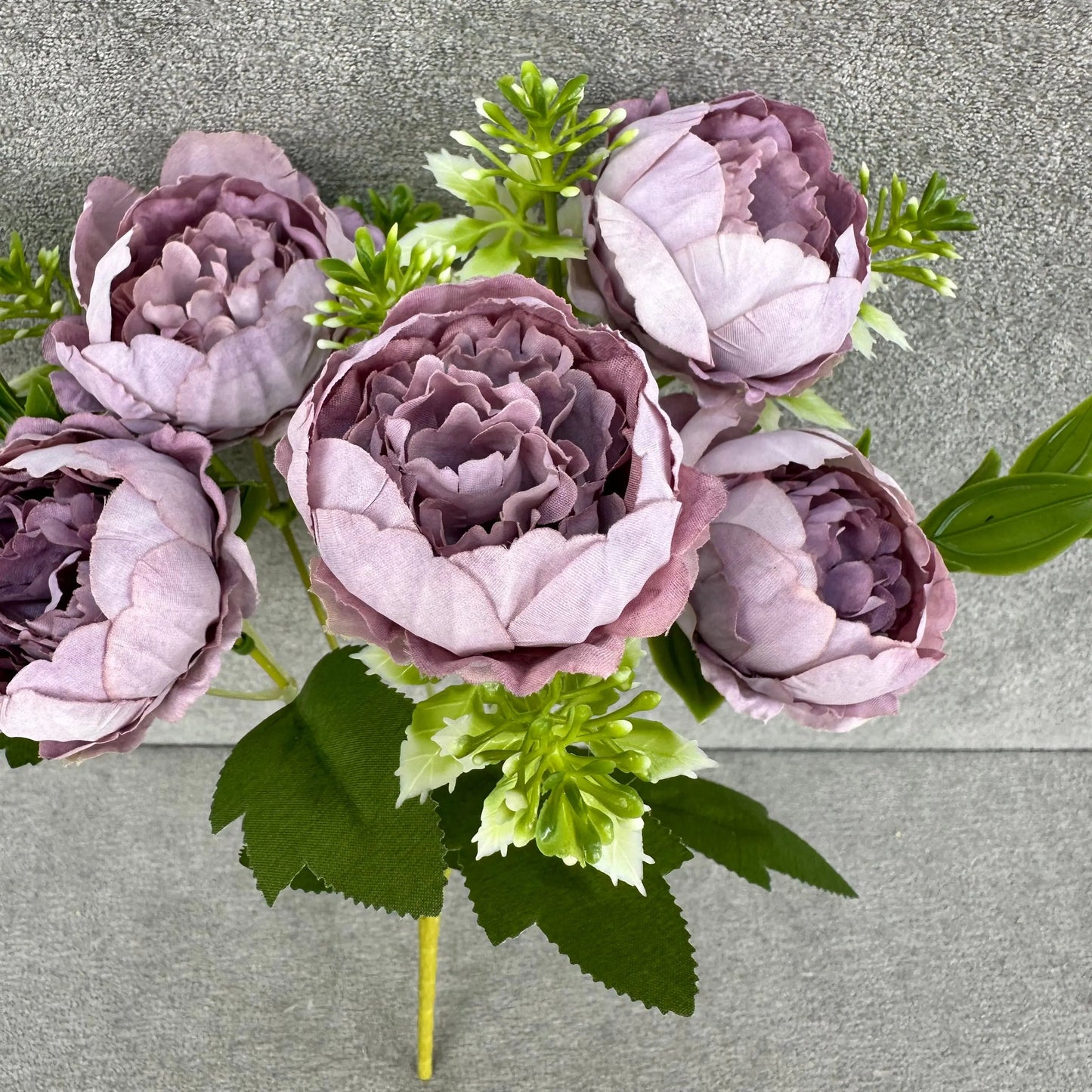 Lavender Silk Round Peony Bush - 5 Heads RosesHQ.com