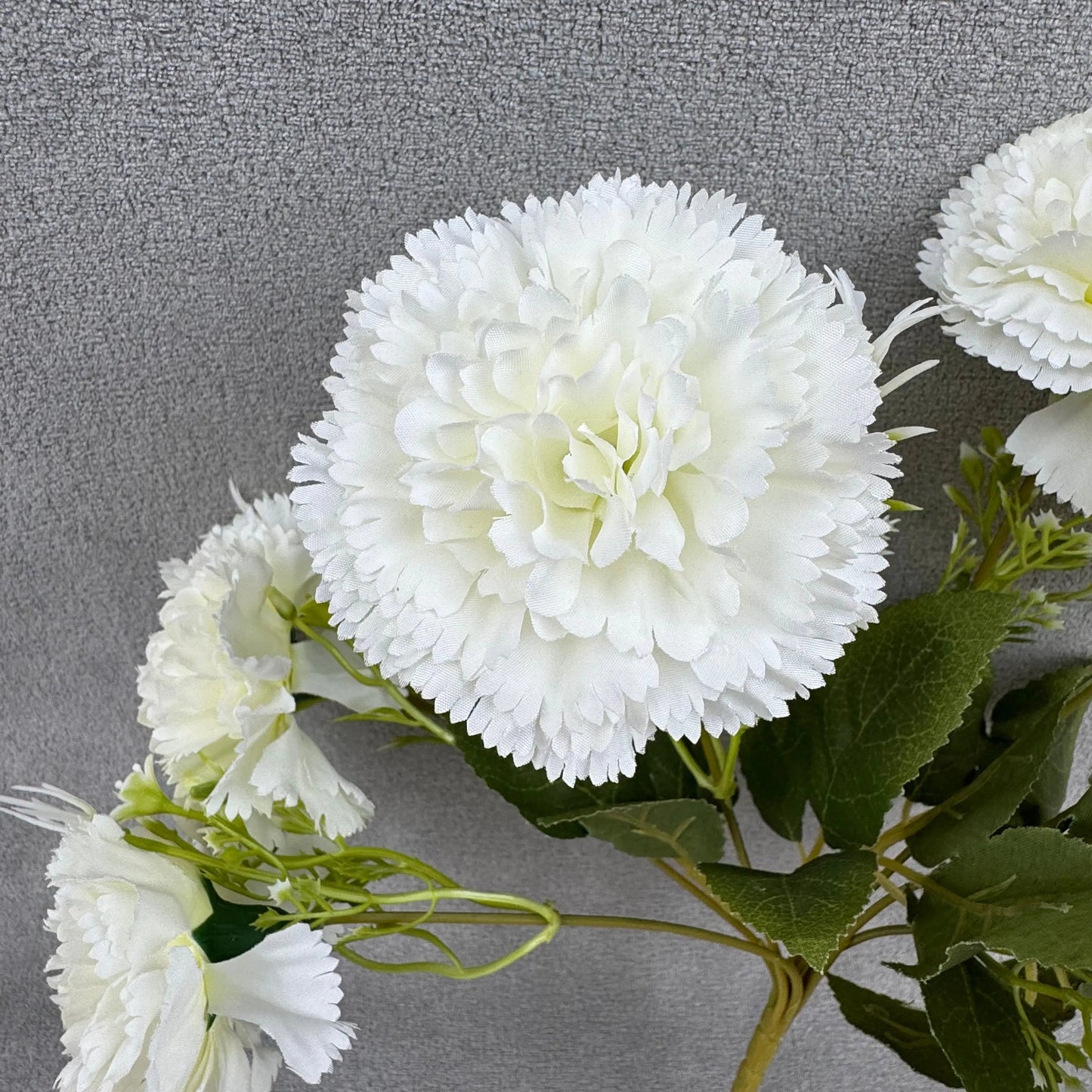 White Silk Carnation Bush - 7 Heads RosesHQ.com