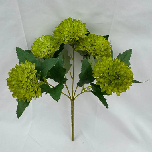 Green Honeycomb Ball Bush - 5 Heads RosesHQ.com