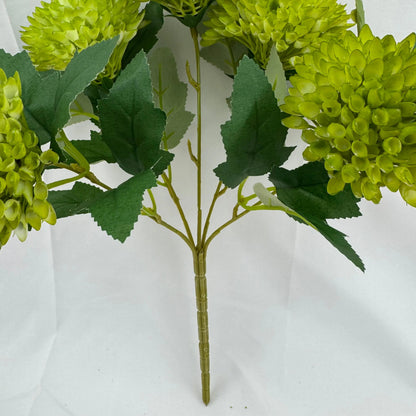Green Honeycomb Ball Bush - 5 Heads RosesHQ.com