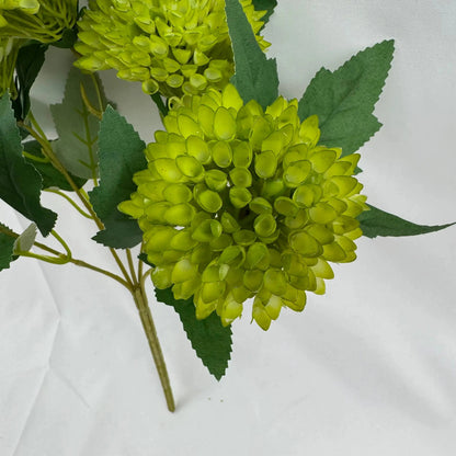 Green Honeycomb Ball Bush - 5 Heads RosesHQ.com