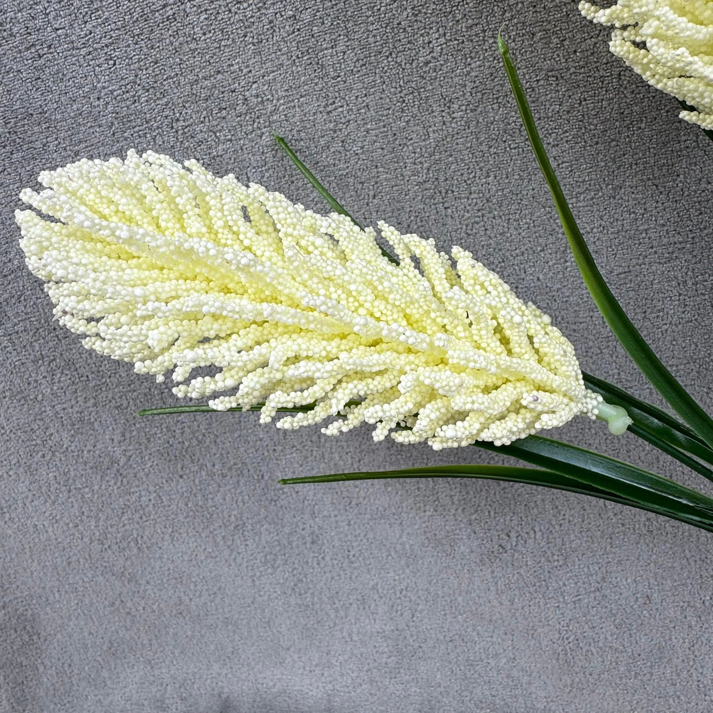 Ivory Corn Cob Bunch RosesHQ.com