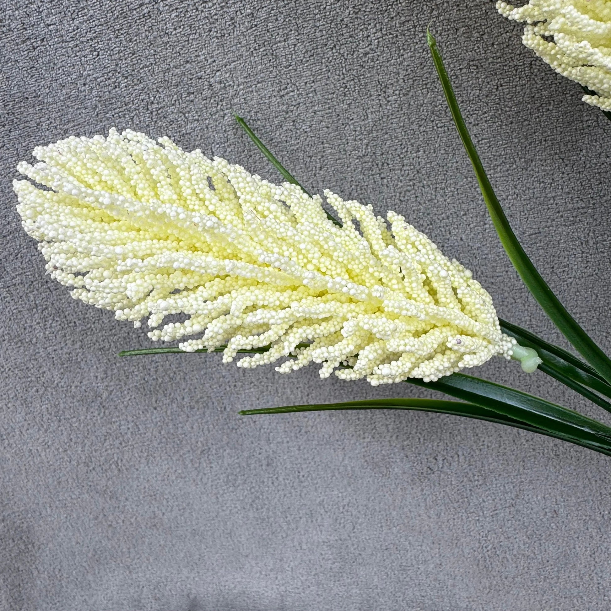 Ivory Corn Cob Bunch RosesHQ.com
