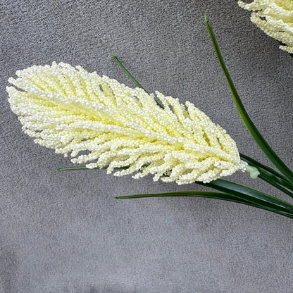 Ivory Corn Cob Bunch RosesHQ.com