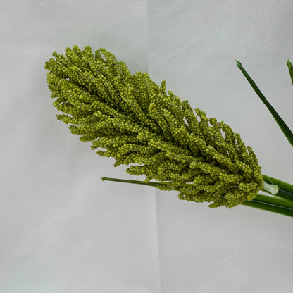 Green Corn Cob Bunch RosesHQ.com