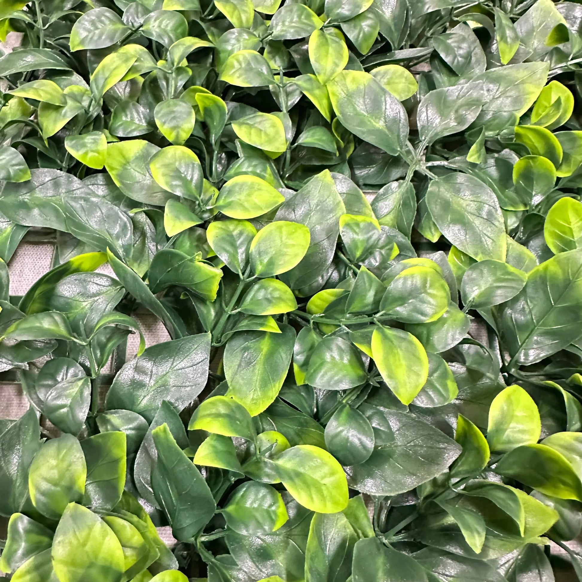 Artificial Apple Leaf Wall Panel Green 50x50cm RosesHQ.com