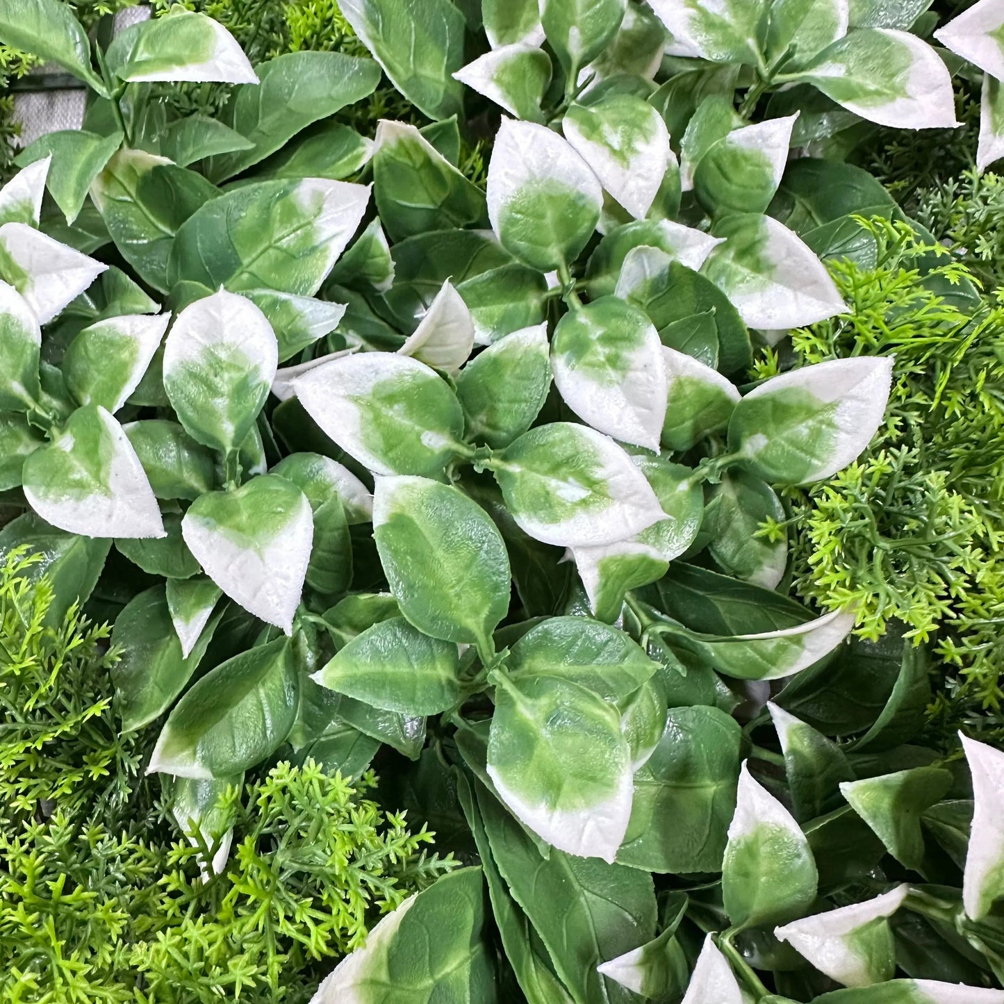 Artificial Plant Wall Green Panel No.1 100x100cm RosesHQ.com