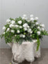 Artificial Floorland Floral Arrangement - White & Green