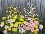 Walkway Runners - Pink & Yellow