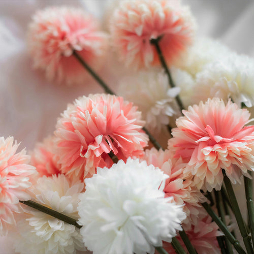 Flower Stems