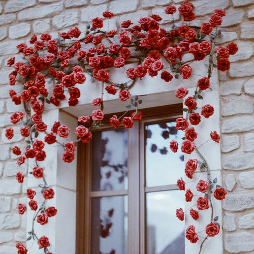 Flower Vines & Garlands