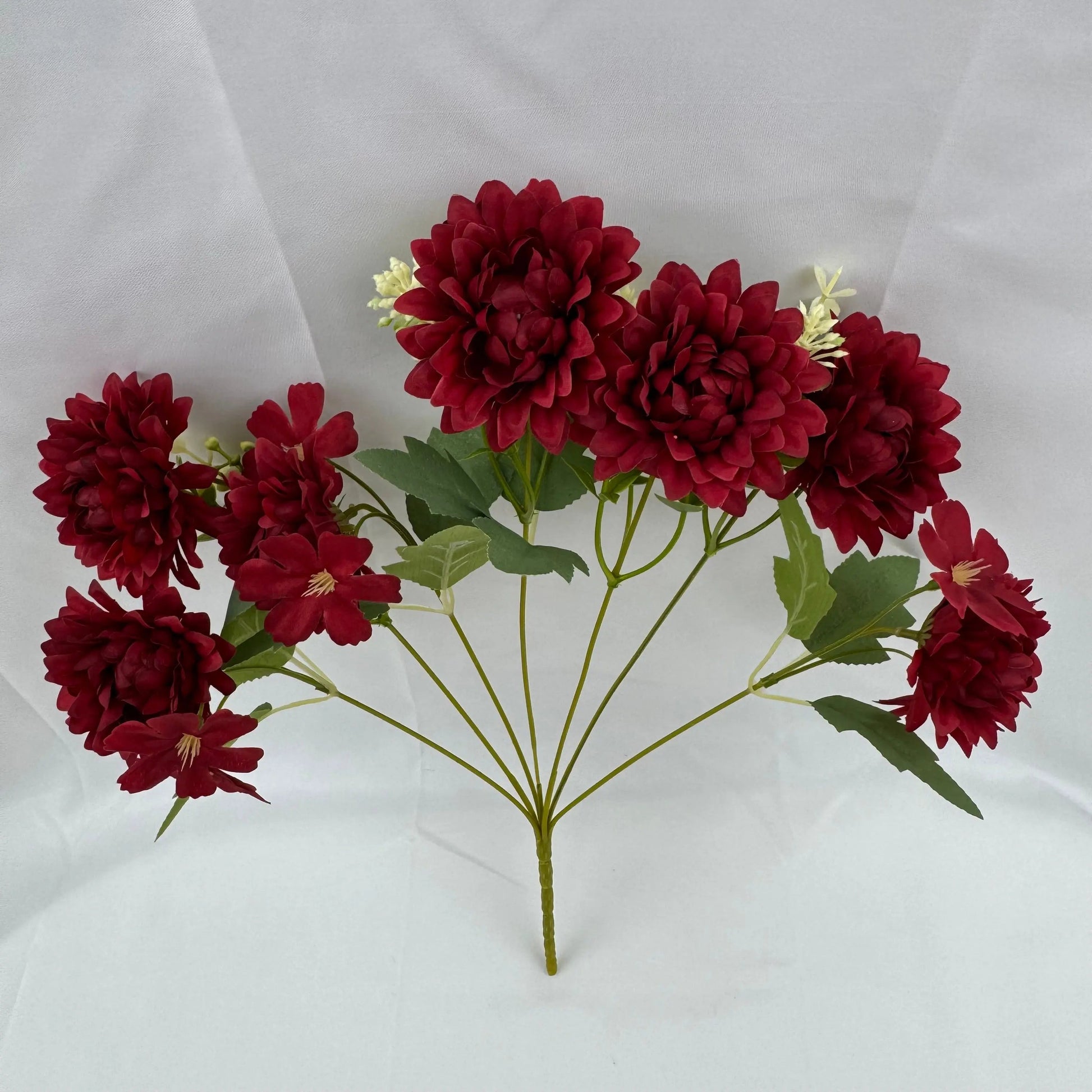 Red Silk Dahlia Bush - 7 Heads RosesHQ.com