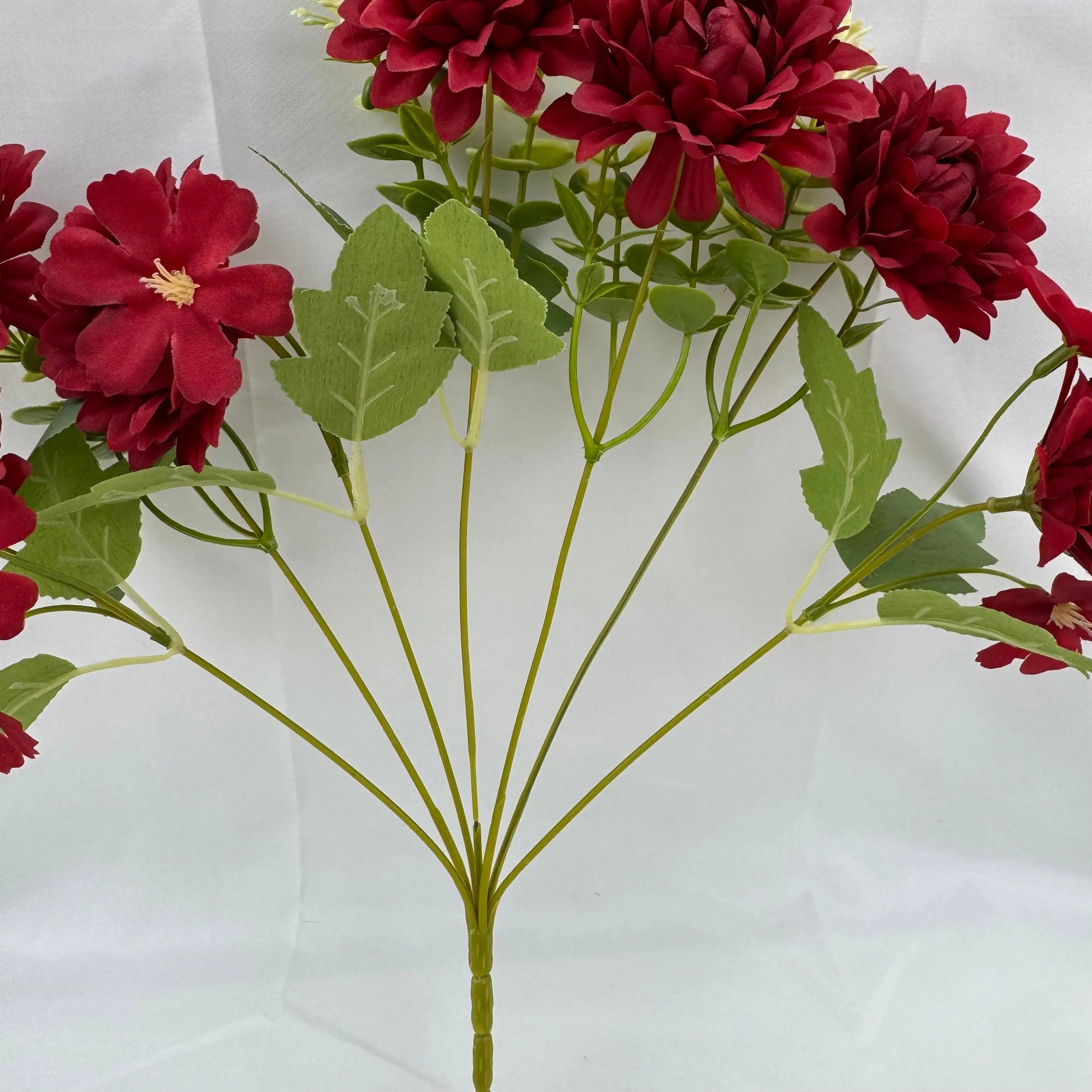 Red Silk Dahlia Bush - 7 Heads RosesHQ.com