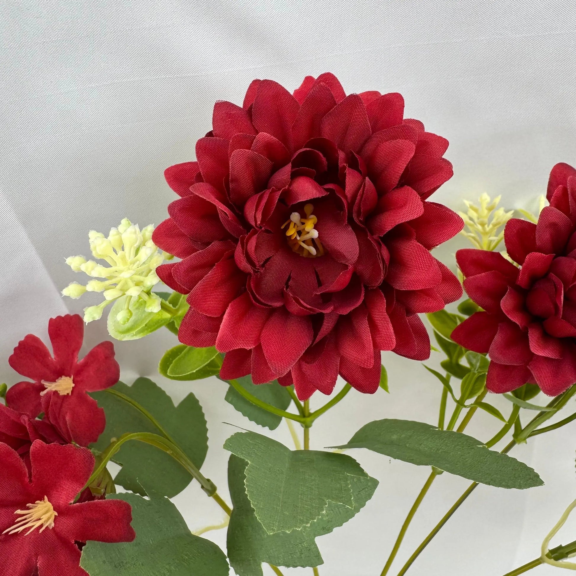 Red Silk Dahlia Bush - 7 Heads RosesHQ.com