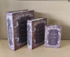 Book Set of 3 - Laconic